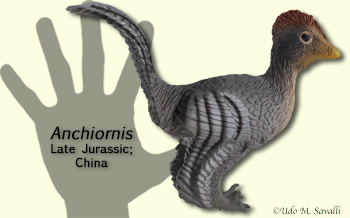 Anchiornithids