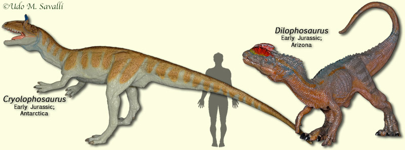 Dilophosauroids