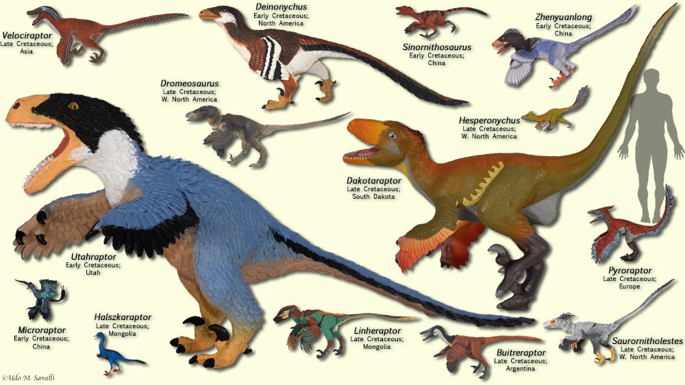 Dromeosaurs