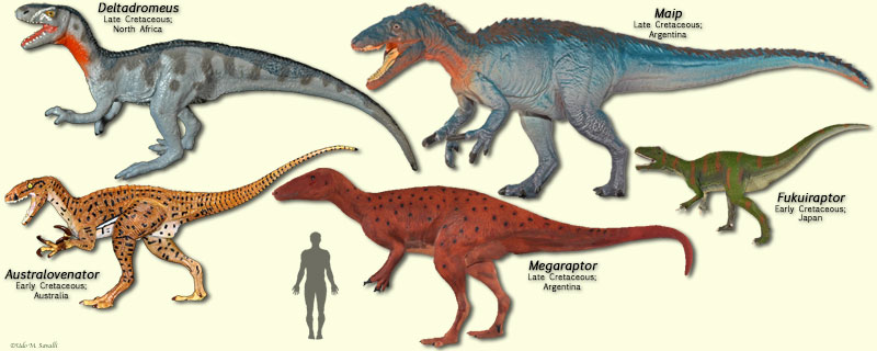 Megaraptors