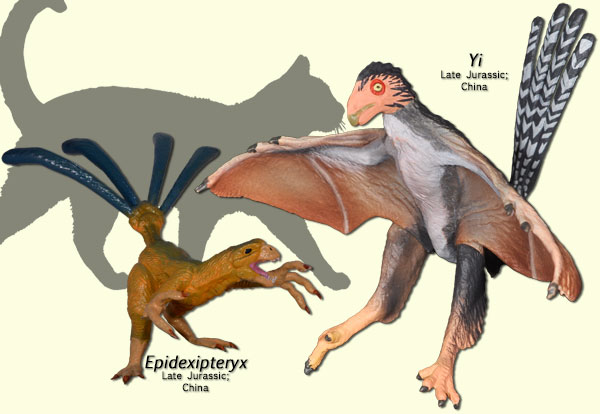 Scansoriopterygids