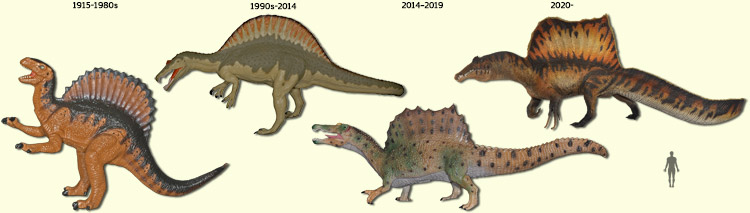 changing Spinosaurus