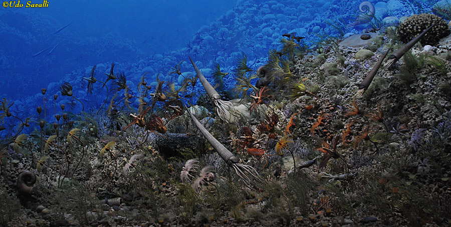 Silurian Reef Diorama