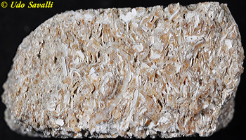 coquina limestone