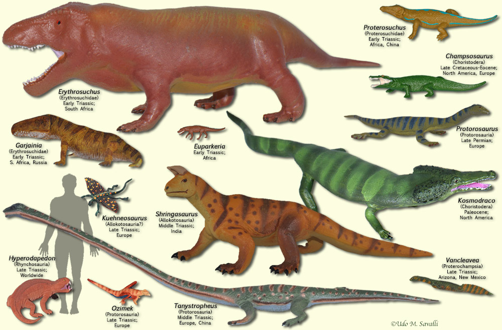 Archosauromorphs