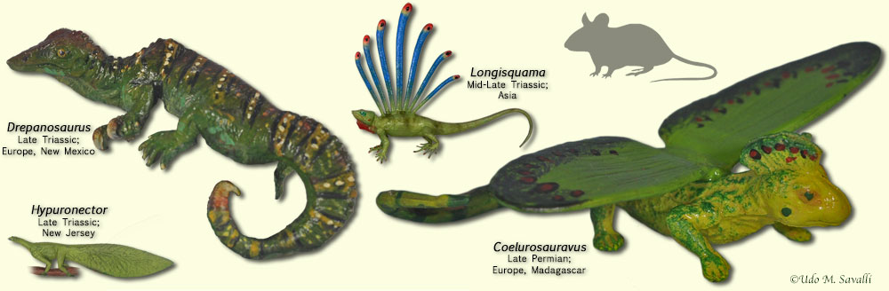 stem diapsids