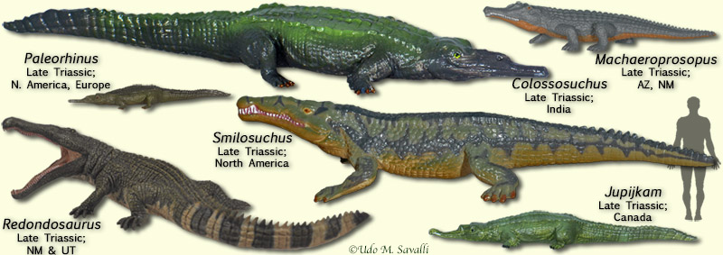 Phytosaurs