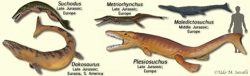 Thalattosuchians