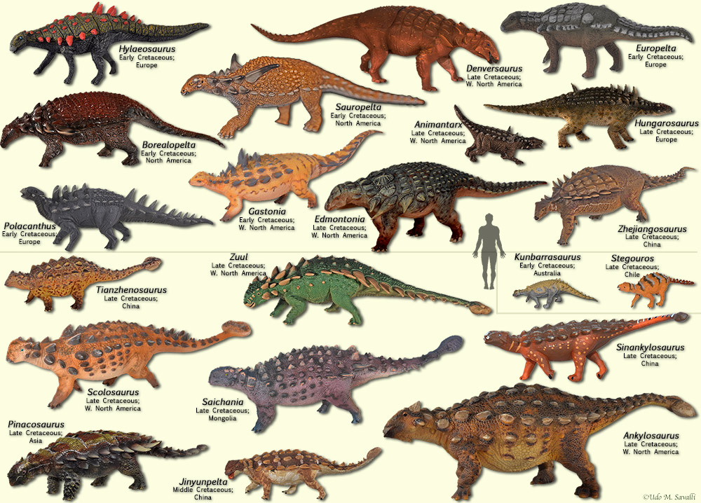 Ankylosaurs