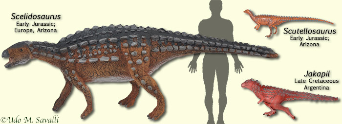 Scelidosaurus