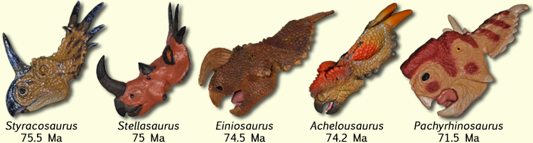 Centrosaurine heads Anagenesis