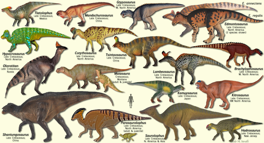 Hadrosaurs