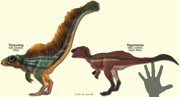 Heterodontosaurs