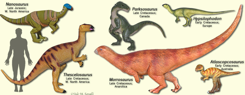 Hysilophodonts