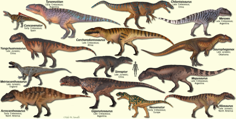 Allosauroids