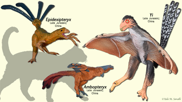 Scansoriopterygids