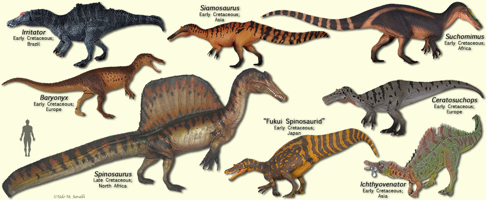 Spinosaurs