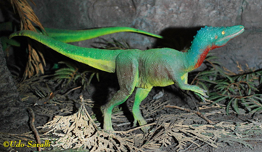 Compsognathus Model