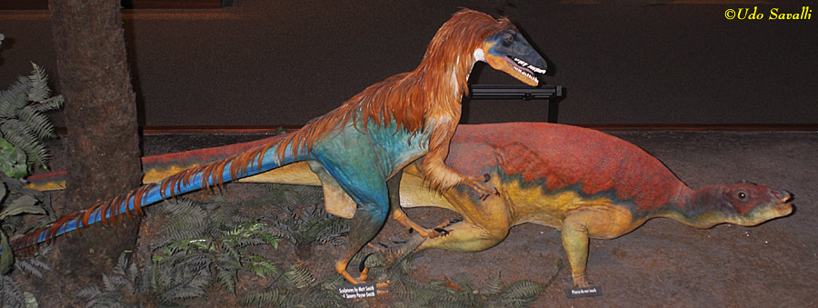 Deinonychus & Tenontosaurus