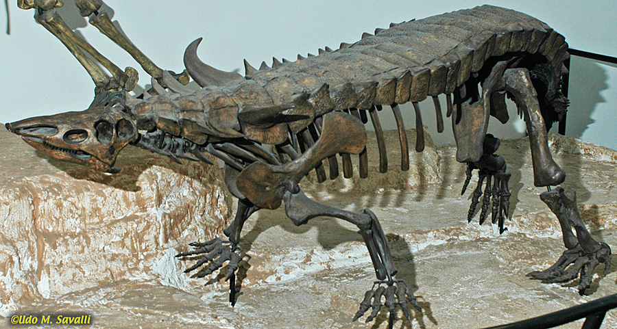 Desmatosuchus