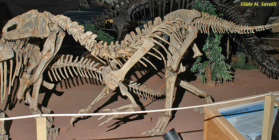 Monolophosaurus