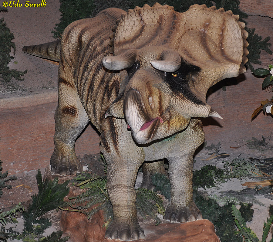 Nasutoceratops Model