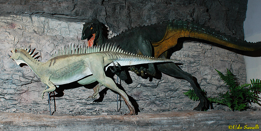 Nanosaurus & Tanycolagreus