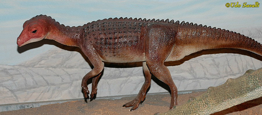Scutellosaurus Model
