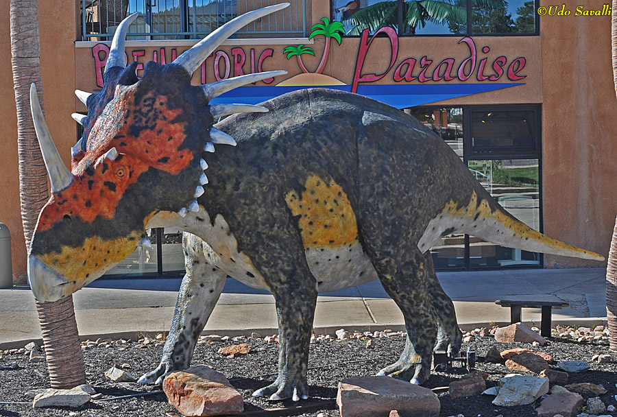 Styracosaurus Model