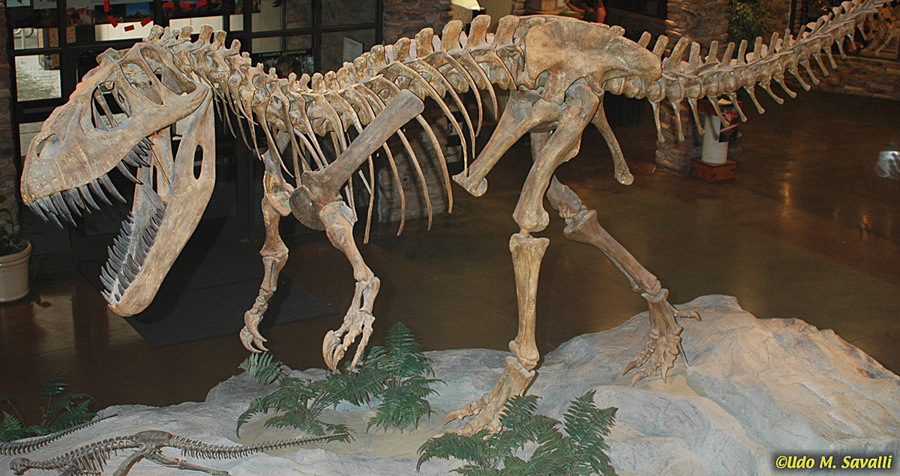 Torvosaurus