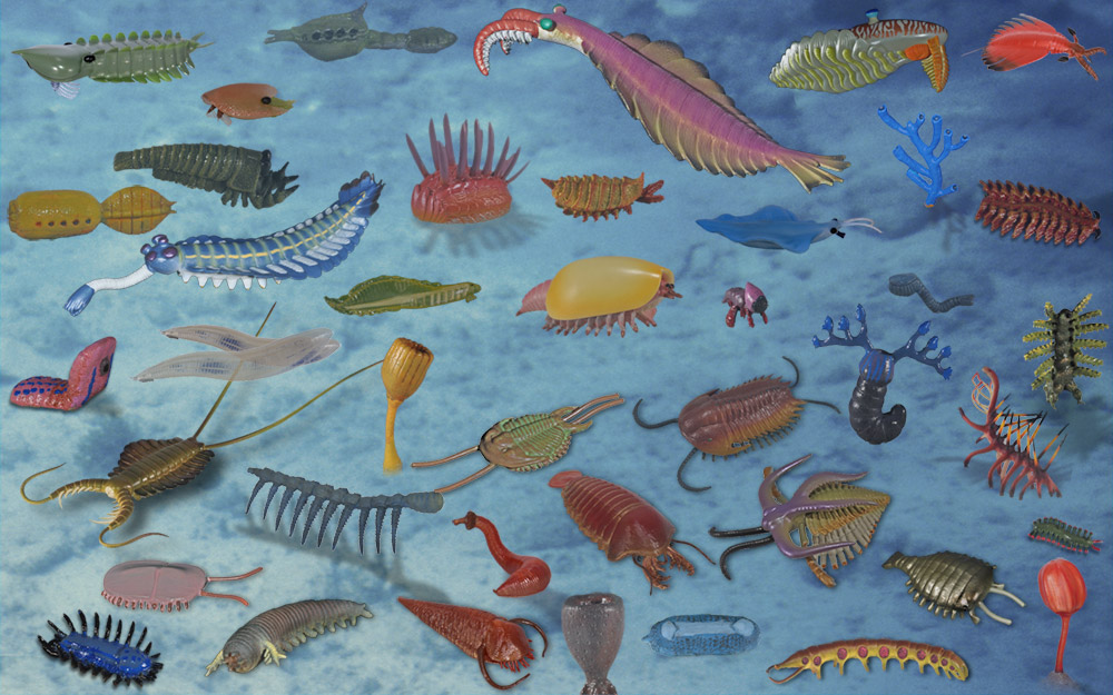 Cambrian scene