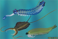 Opabinia